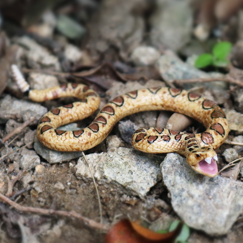 Mô Hình Rắn Hổ Mang Sống Động Dùng Trang Trí