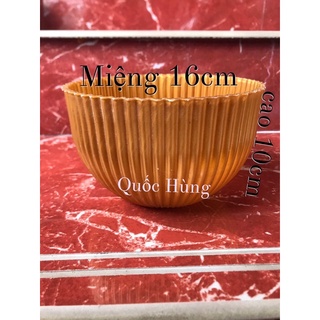Chậu nhựa vàng trồng cây để bàn