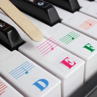 Nhãn dán bàn phím đàn Piano trong suốt 25 / 49 / 54 / 61 / 88 màu