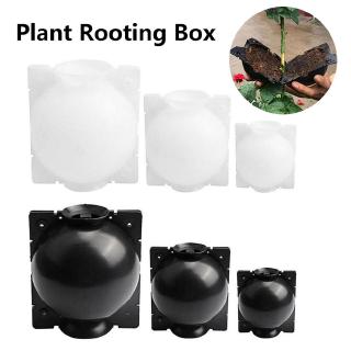 Dụng cụ hỗ trợ ghép cành áp suất cao