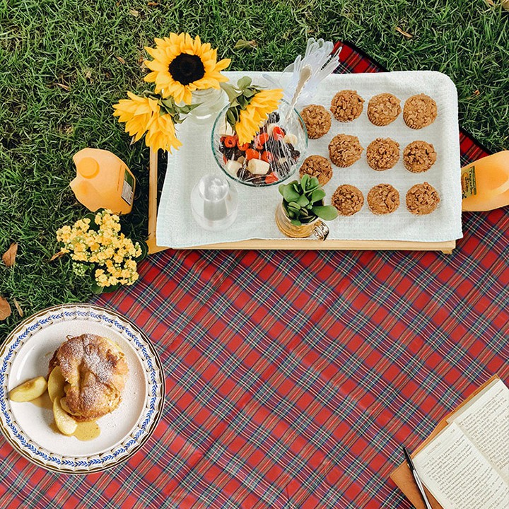 Thảm Trải Dã Ngoại Ngoài Trời Gấp Gọn Tiện Dụng đa năng