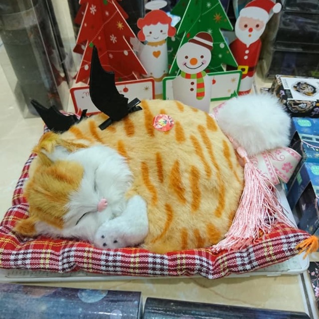 Bé mèo trưng bày trang trí [kèm đệm có sẵn]