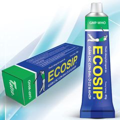 Kem Ecosip  ( tuýp 45g)