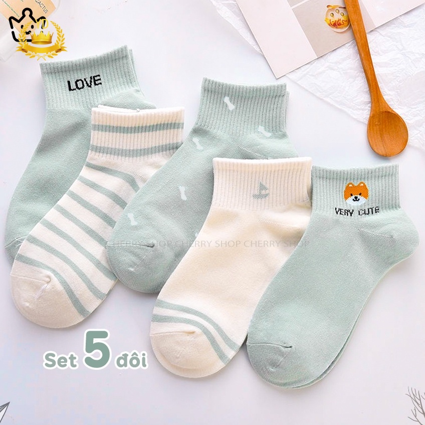 Bộ 5 đôi tất cổ ngắn họa tiết dễ thương phong cách hàn quốc cho nữ có túi