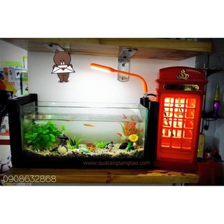 Bể cá mini full combo