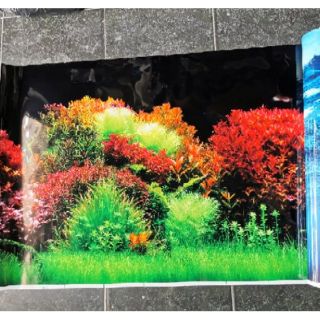 Tranh dán hồ cá cao 60cm