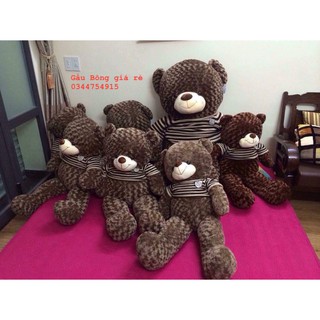 Gấu bông teddy