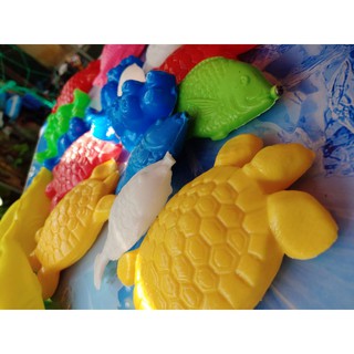 500g Cá câu bán cân đã bắn vít