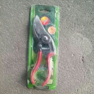 Kéo cắt, tỉa cành