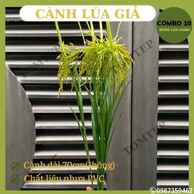 {Giá xưởng} Combo 100 cành lúa giả 1 bông cao cấp màu xanh, lúa màu vàng 70cm