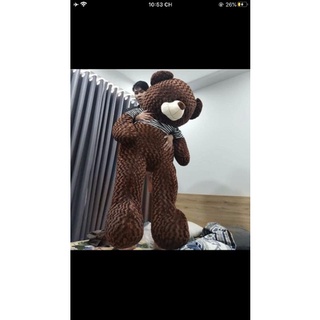 Gấu teddy nâu socola  2m1