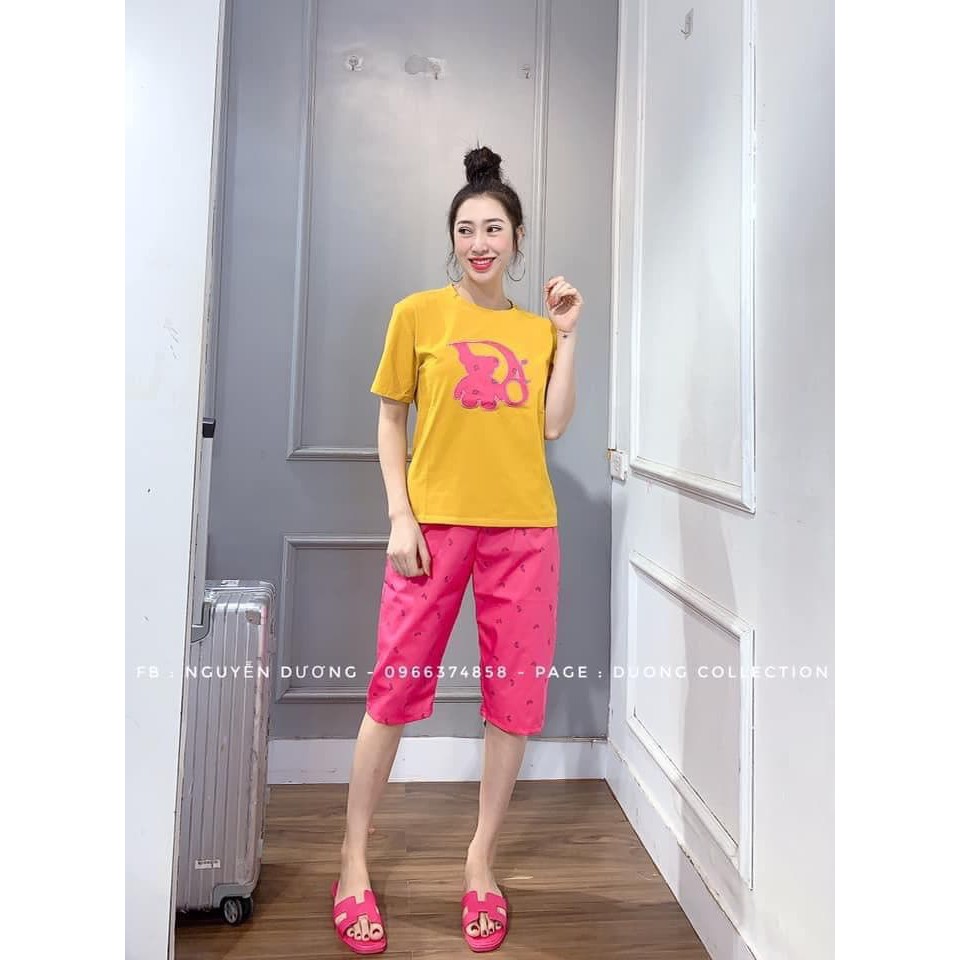 Bộ lửng thun phối