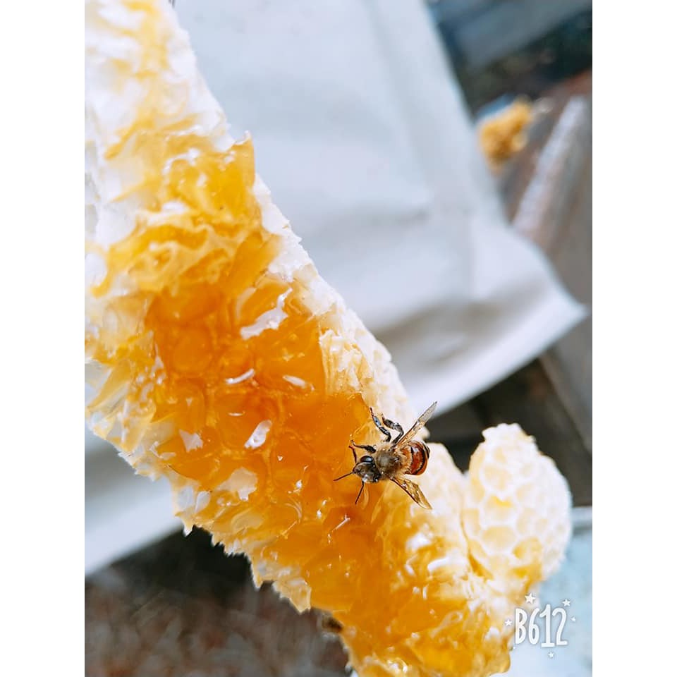 mật ong bánh tổ sáp mật ong hũ 750ml