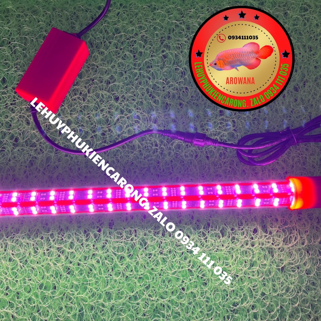 Đèn LED T10 HUYẾT LONG - BỐI VÀNG 4 Hàng Bóng - Sản Phẩm Mới -  Trải Nghiệm Thực Tế Rất Đẹp Kích Thước 92cm 112cm 142cm