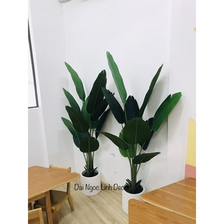 Cây chuối giả 1,6m
