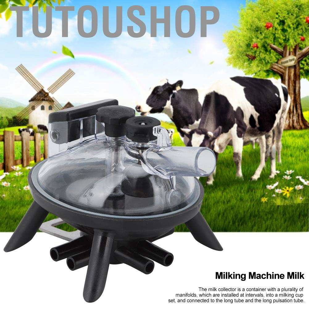 Máy vắt sữa bò làm nông nghiệp chất lượng