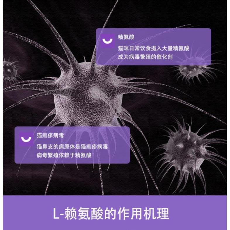 Viên nhai L-Lysine hỗ trợ đường hô hấp, tăng sức đề kháng cho mèo (Nourse 200v)