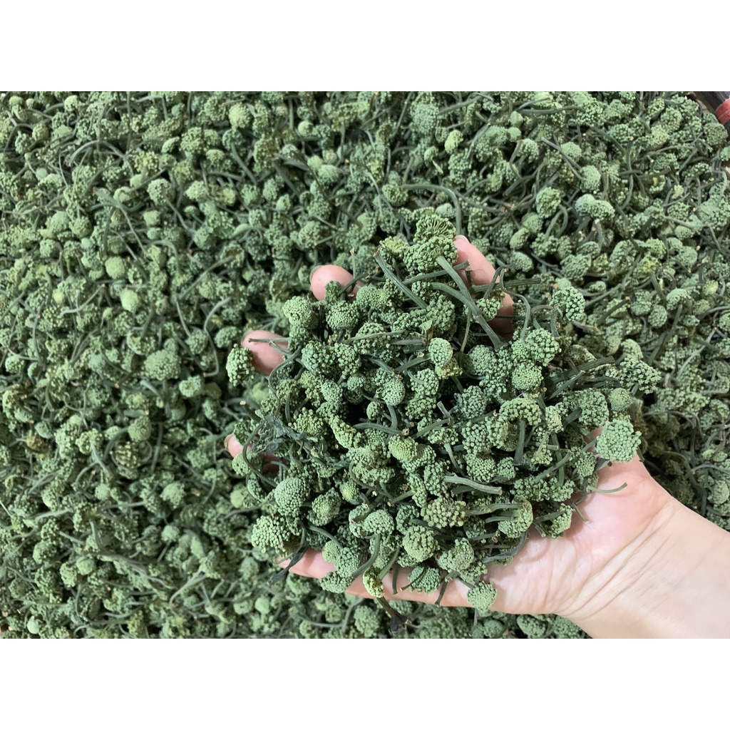 Nụ hoa tam thất bắc,nụ hoa tam thất bao tử Hà Giang,̣̣ dùng để pha trà giúp ngủ ngon ,Tốt cho sức khỏe