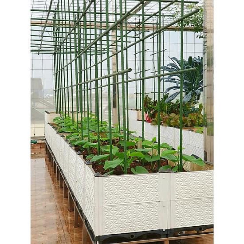 Cọc Thép Bọc Nhựa Pi16, Cọc Làm Giàn Leo