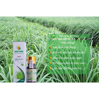 Tinh dầu sả Java 100ml