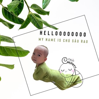 Nhộng chũn cocoon