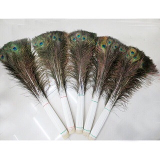30 lông công phong thủy 80-90cm