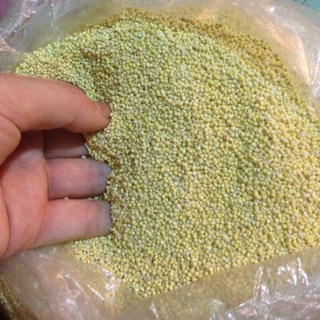 500g hạt kê nếp