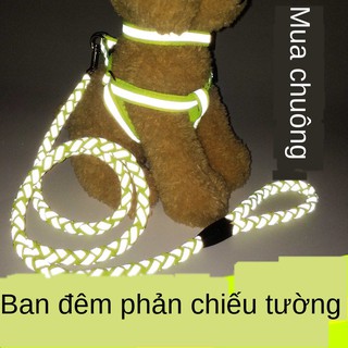 ┇☊❉Dây xích cho chó Teddy Golden Retriever cỡ vừa và nhỏ Cún con đi dạo Vú mẹ địu Đồ dùng thú cưng Vòng cổ