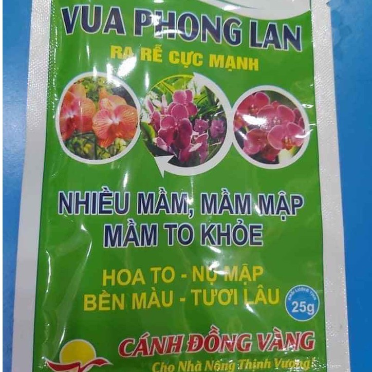 Vua phong lan ra rễ cực mạnh gói 25g