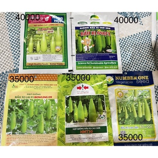 Hạt giống Bầu Xị các loại( Nhật, Thái lan, Việt Nam)