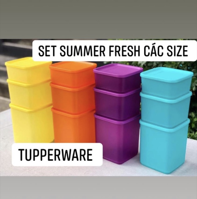 lẻ Hộp mát bảo quản thực phẩm tupperware