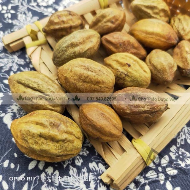 500g Quả Kha Tử