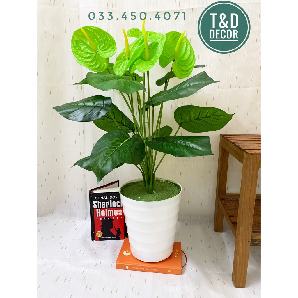 Cây giả- Cây môn xanh 70cm