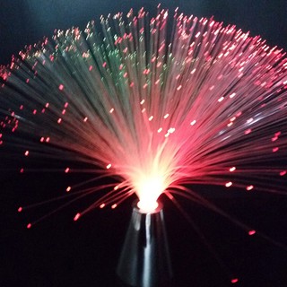 Đèn Led Tua Rua Trang Trí Tiệc