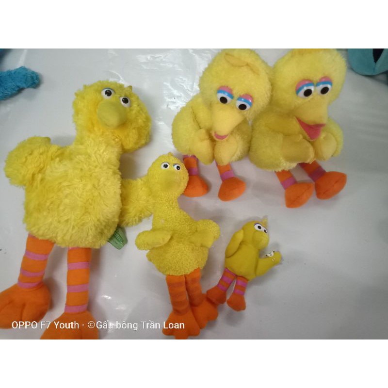 Gấu bông mắt lồi xanh đỏ