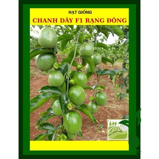 Hạt Giống Chanh Dây F1 Sai Trái 20 Hạt