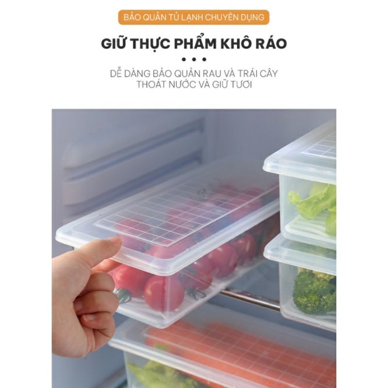 Hộp đựng thực phẩm có khay ráo nước, cho được lò vi sóng