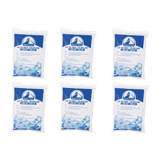 Combo 6 túi đá gel giữ lạnh, làm mát quạt điều hòa (500gr mỗi túi)