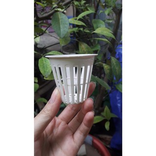 [Giá sỉ] 100 Rọ nhựa thủy canh (cốc trồng rau)