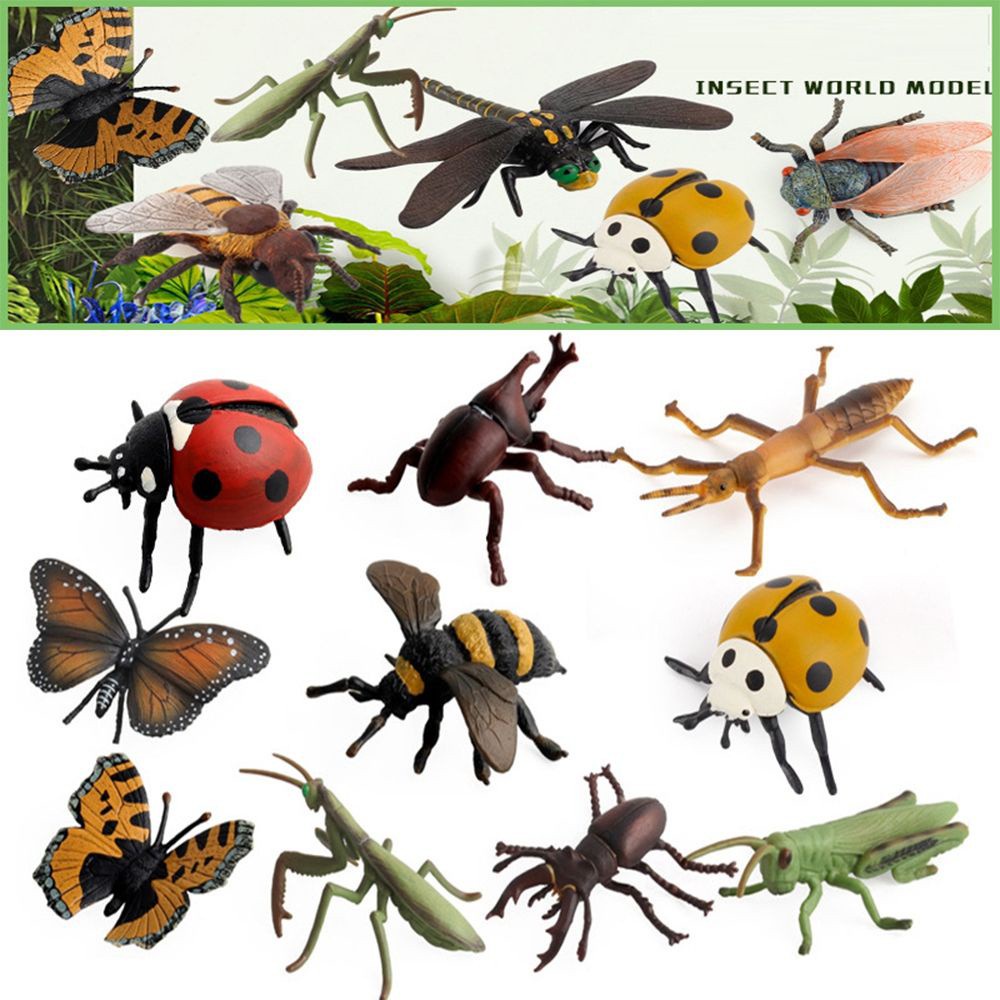 BEAUTY 14 Styles Simulation Ladybug Plastic Action Figures Insect Animals Model Home Decor Miniature Educational Toy Funny Children Gift Growth Cycle