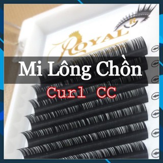 Mi khay royal lông chồn cao cấp độ cong cc.