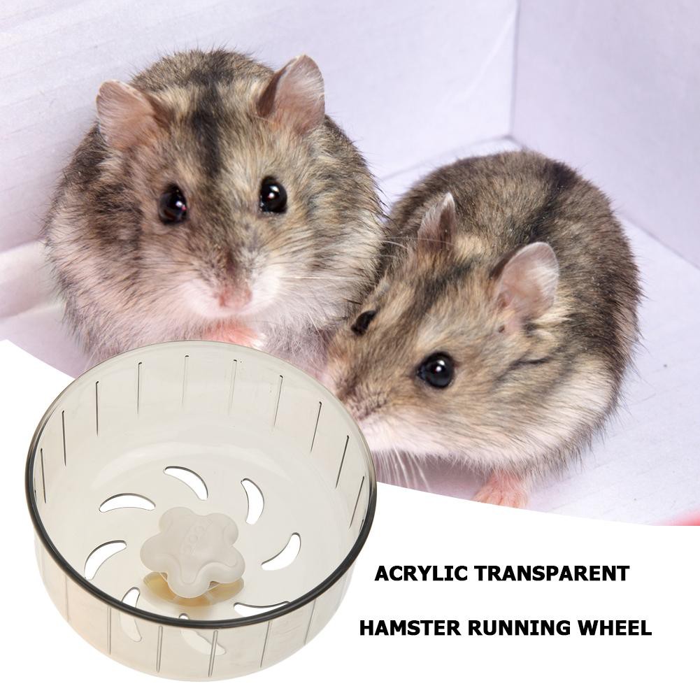 Bánh xe chạy trong suốt cho chuột hamster