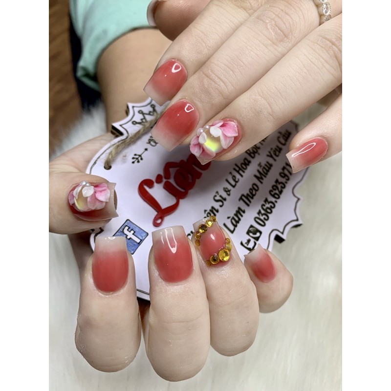 hoa bột nail - hoa cúc mắt mèo