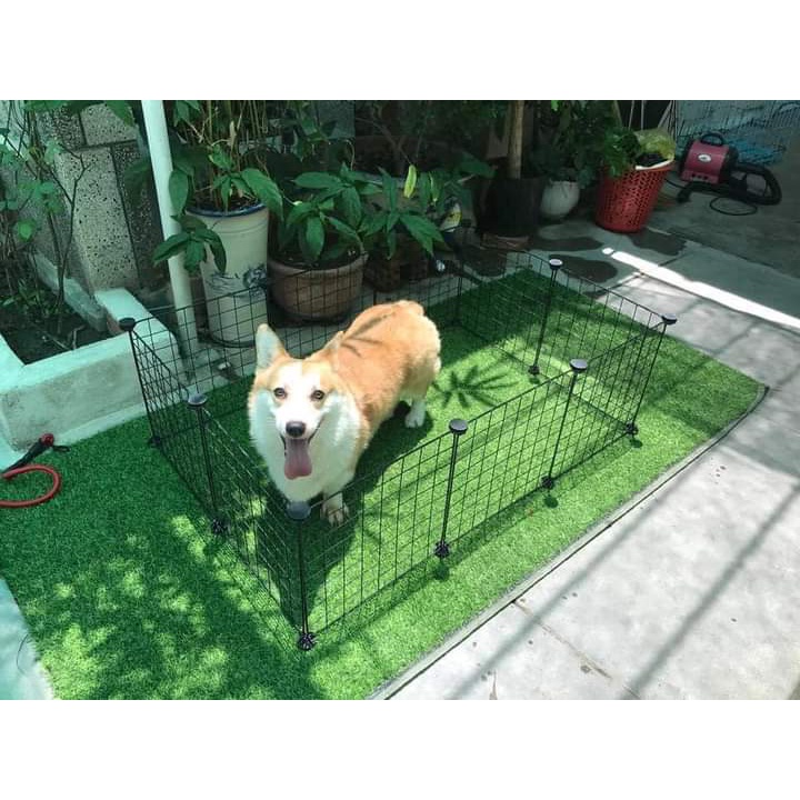 [TẶNG KHAY VỆ SINH] COMBO CHUỒNG, LỒNG LƯỚI THÉP DÀNH CHO CHÓ MÈO THÚ CƯNG ĐA NĂNG