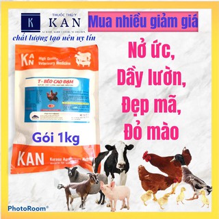 VỖ BÉO CAO ĐẠM THƯỜNG XUYÊN CHO TRÂU BÒ LỌN GÀ