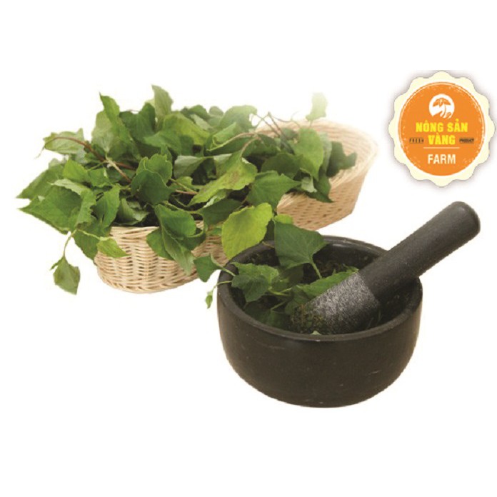 Bột Diếp Cá Nguyên Chất Làm Đẹp 500gr - Nông Sản Vàng