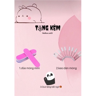 Móng up nailbox đính nơ