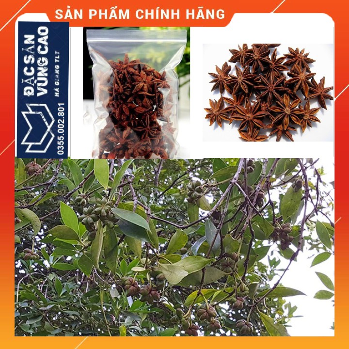 Hoa hồi khô 100g gia vị nấu phở, cải thiện đái dầm