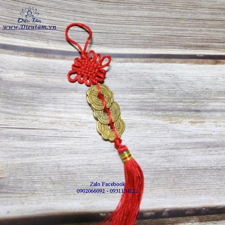 Xâu tiền xu hoa mai đồng tâm kết