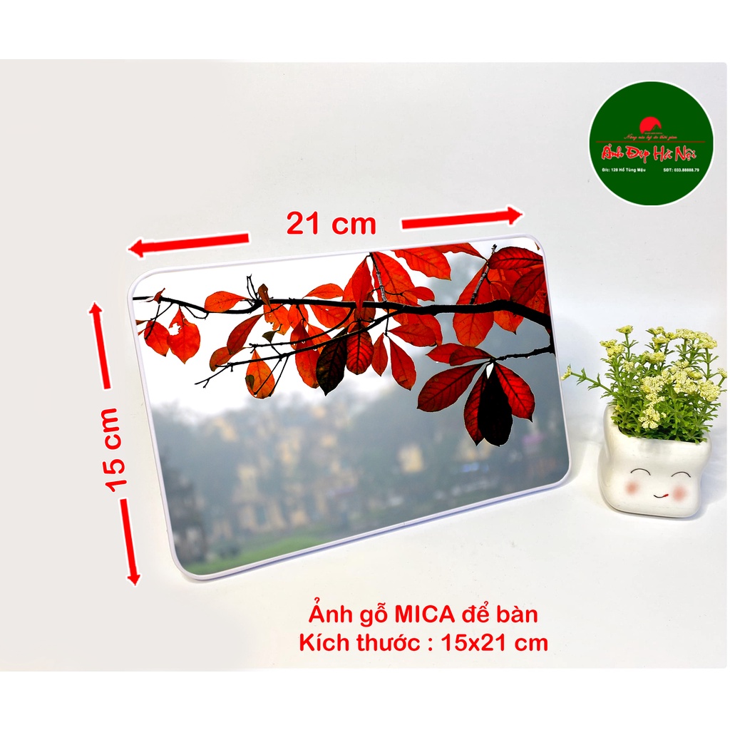 Ảnh gỗ Mica để bàn 15x21